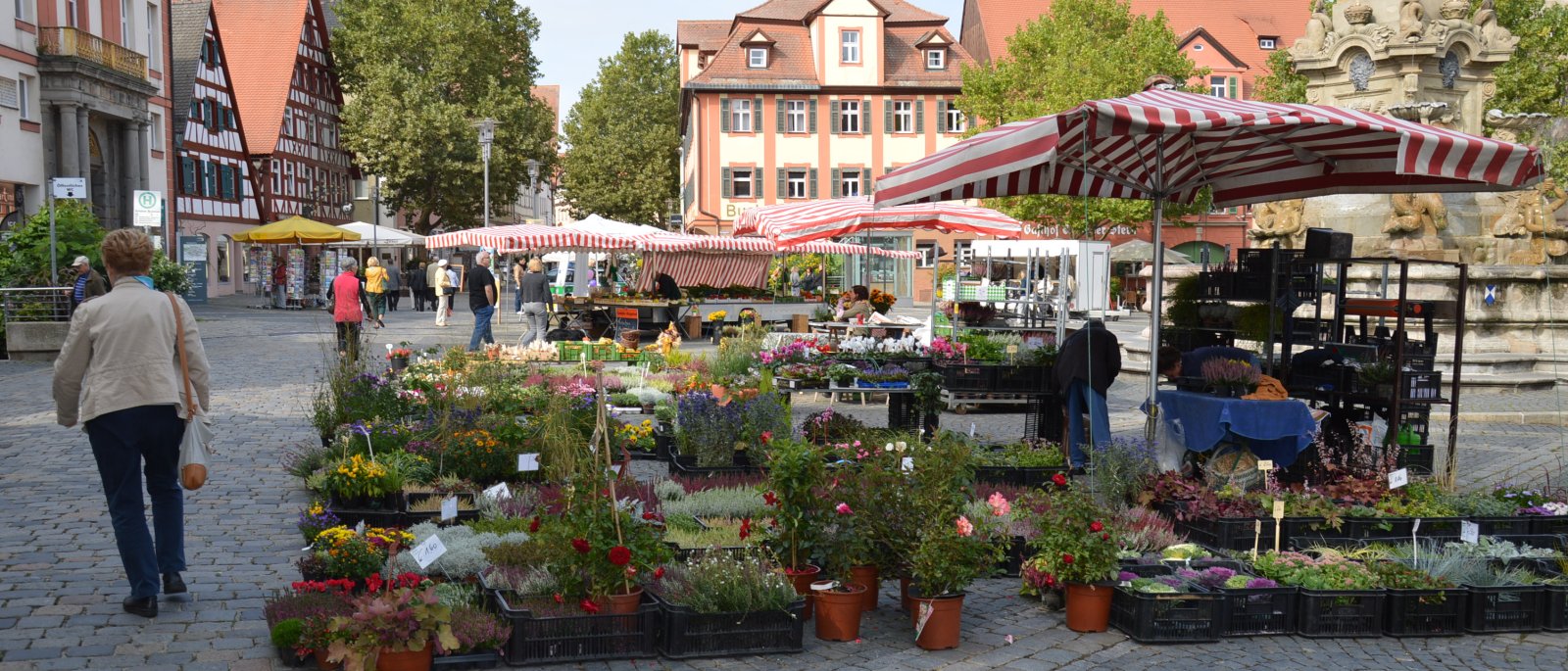 Wochenmarkt